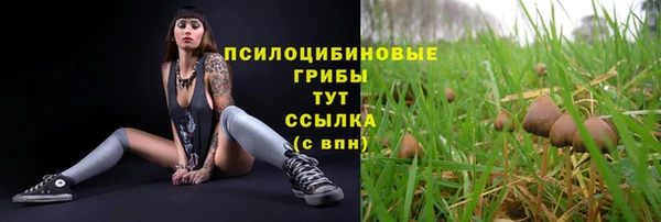 сатива Лиски
