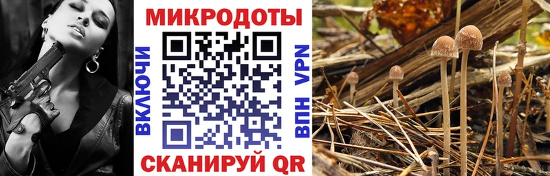 Псилоцибиновые грибы Psilocybe  Купить закладки  Уяр 
